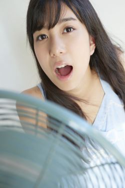 狗十三